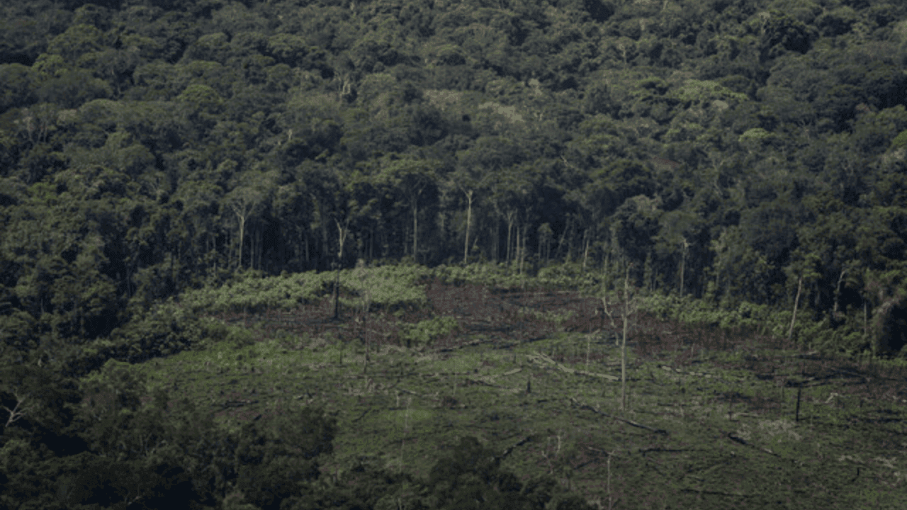 photologuephotos2023-11amazonaspng photologuephotos2023-11amazonaspng