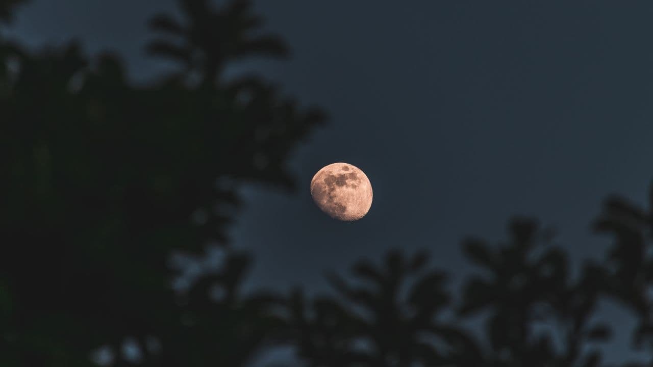 photologuephotos2024-06luna-fresa-colombiajpg