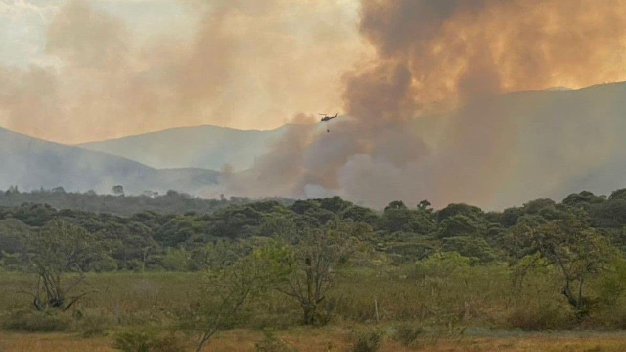 photologuephotos2024-09incendios_forestales_1jpg