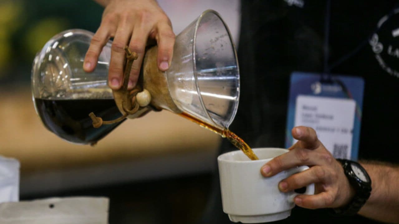photologuephotos2024-10impacto_del_consumo_de_cafejpg
