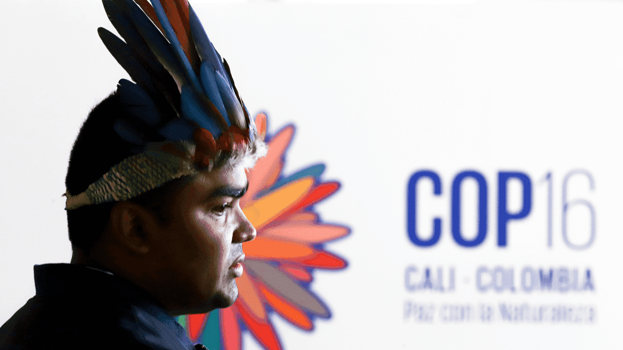 copia_de_mini_2024-11-01t094056.067.png