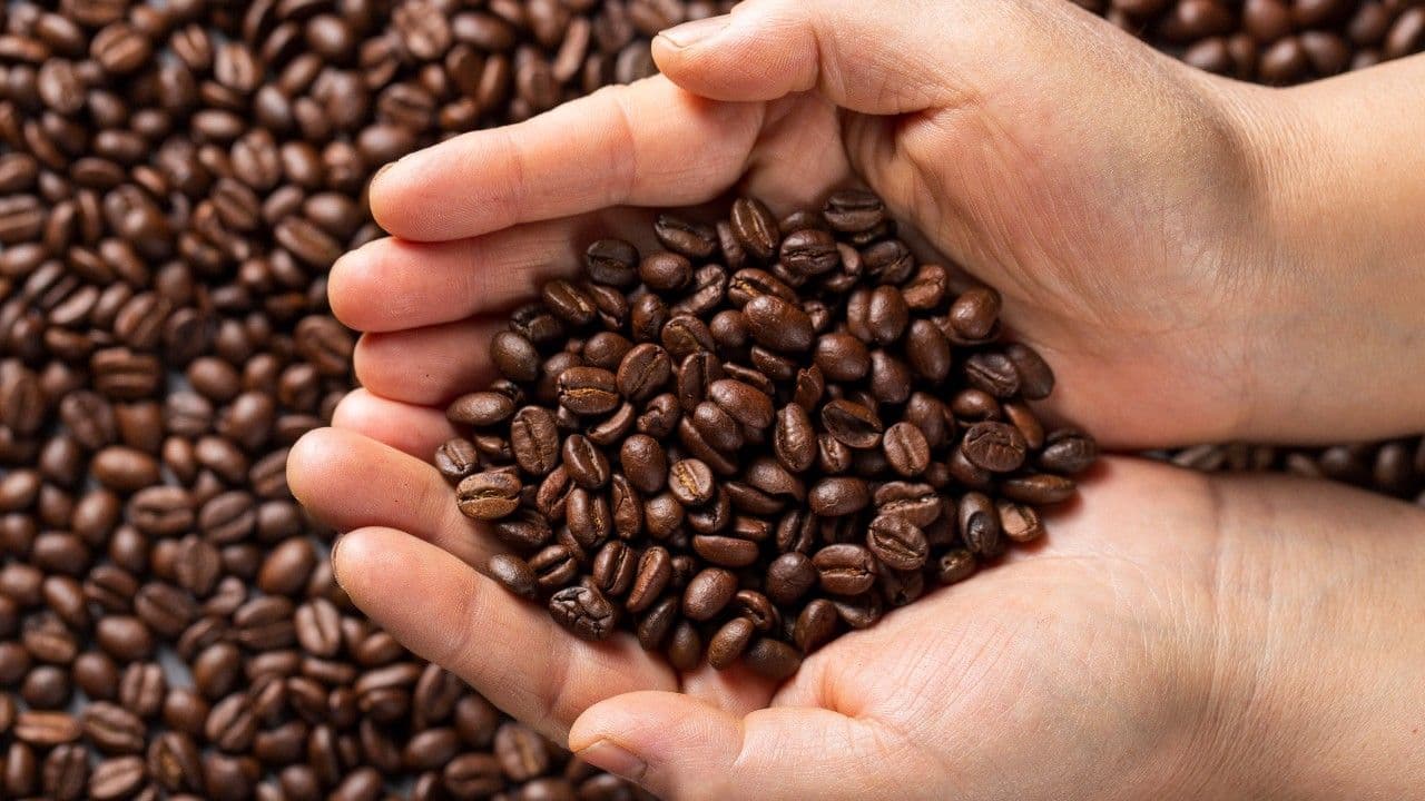 photologuephotos2024-10flat-lay-hands-holding-coffee-beans_1jpg