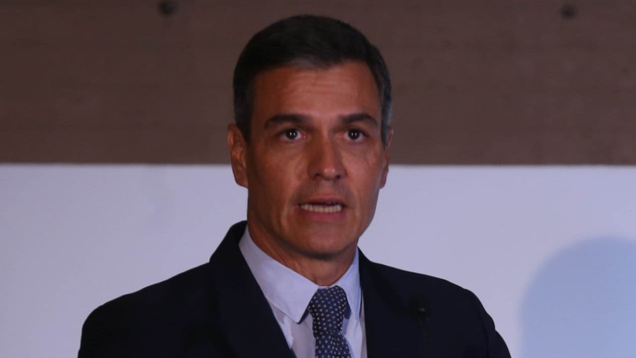 photologuephotos2024-10pedro-sanchezjpg