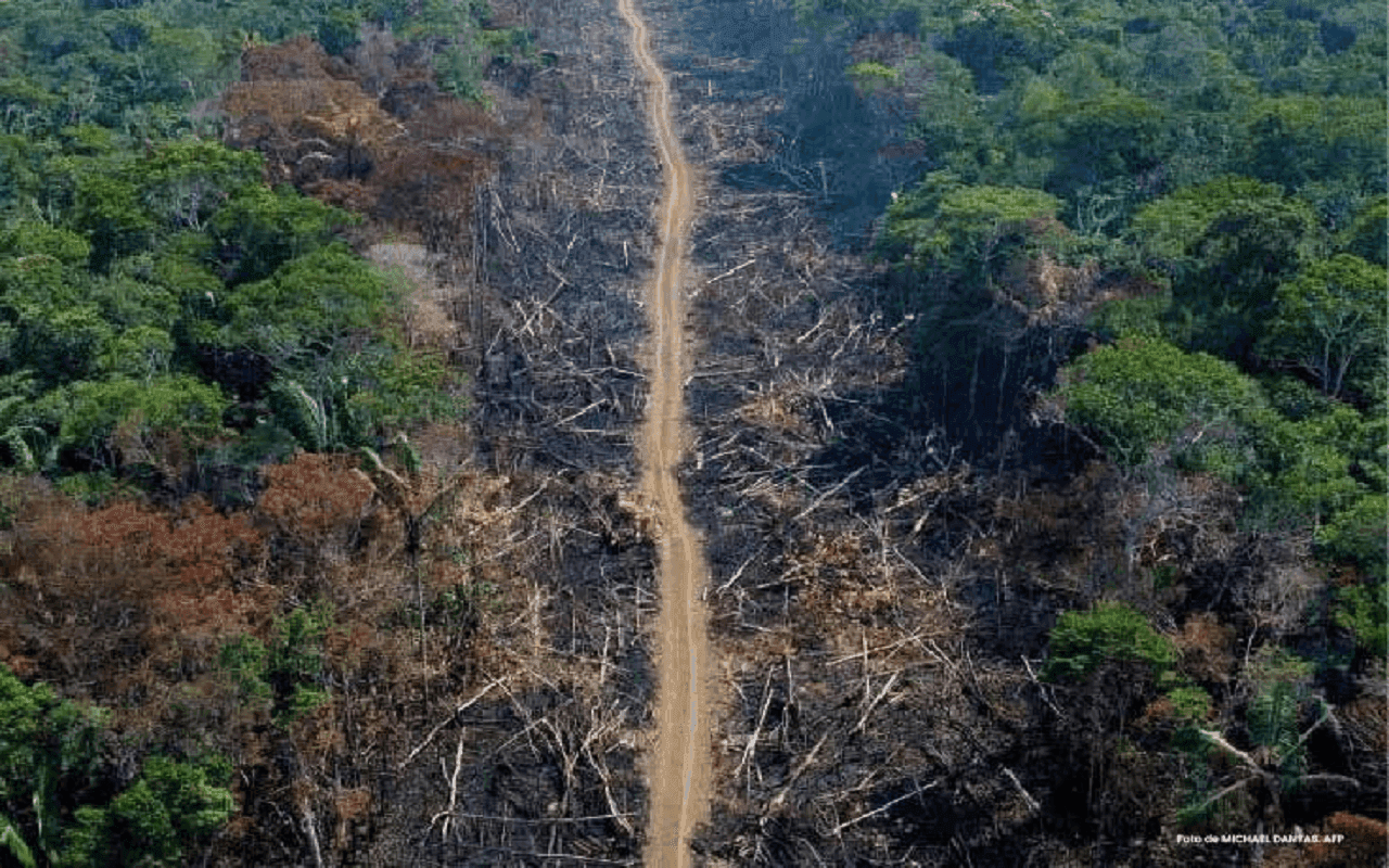 photologuephotos2025-05amazonia_deforestacion_procuraduria_0jpeg photologuephotos2025-05amazonia_deforestacion_procuraduria_0jpeg