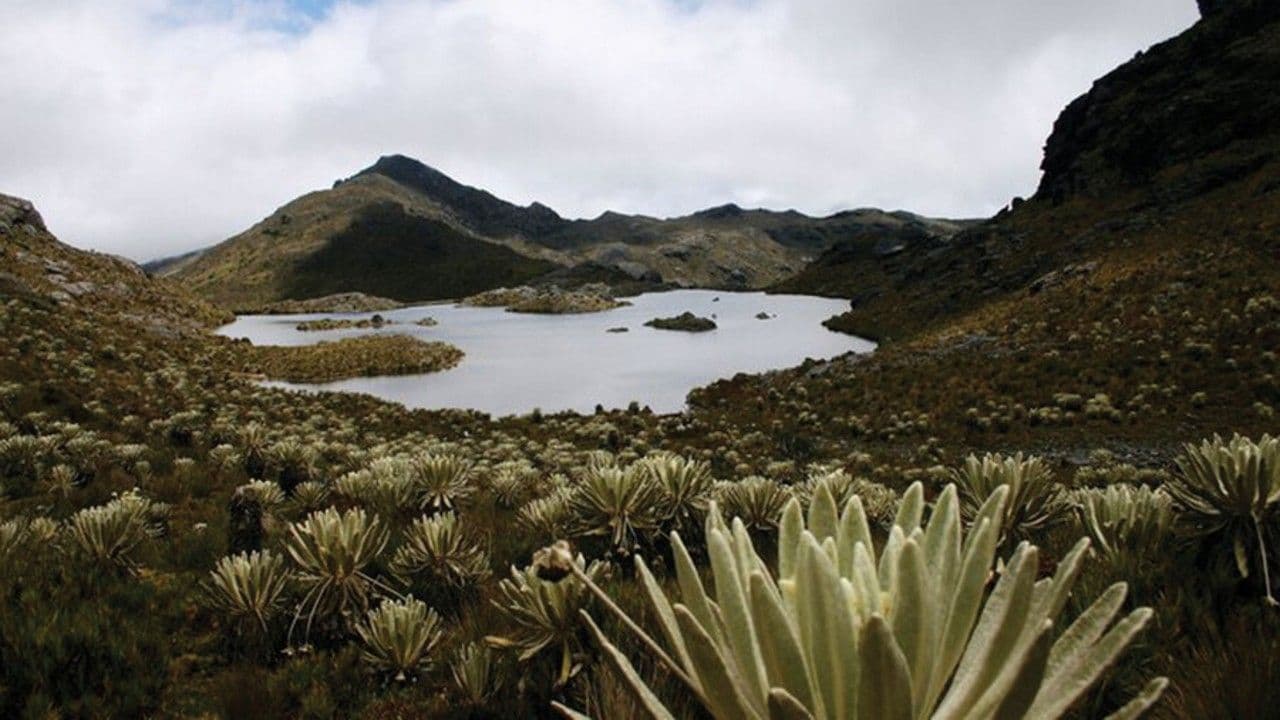 photologuephotos2025-05paramo_santurbanjpg