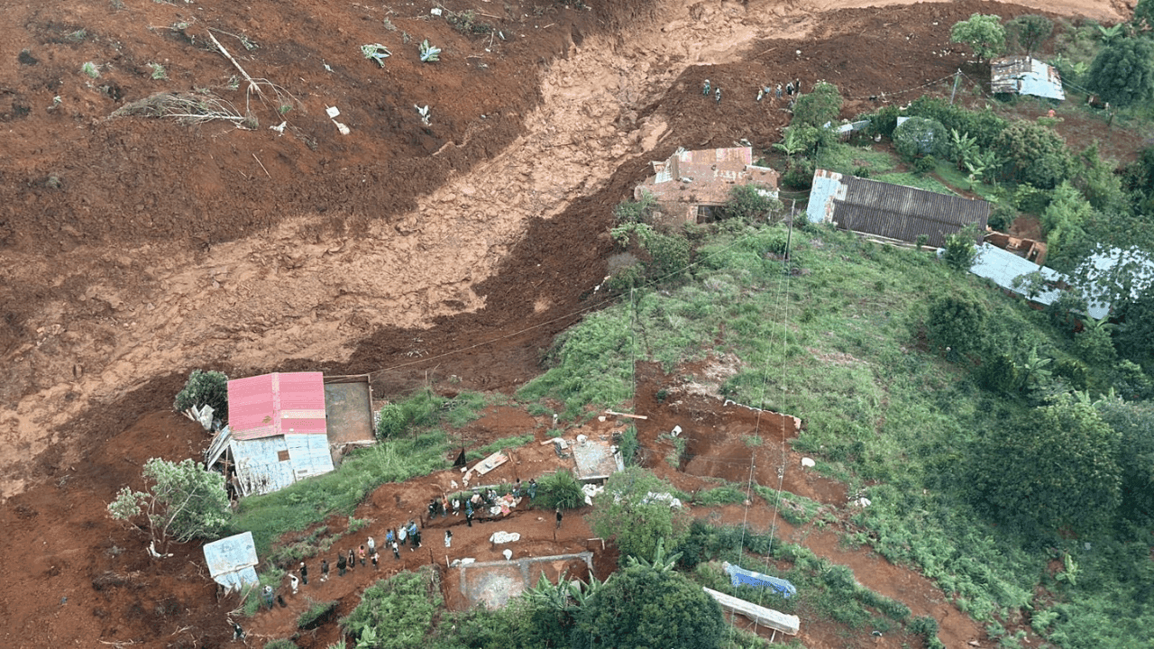 photologuephotos2025-06tamano_de_fotos_23png