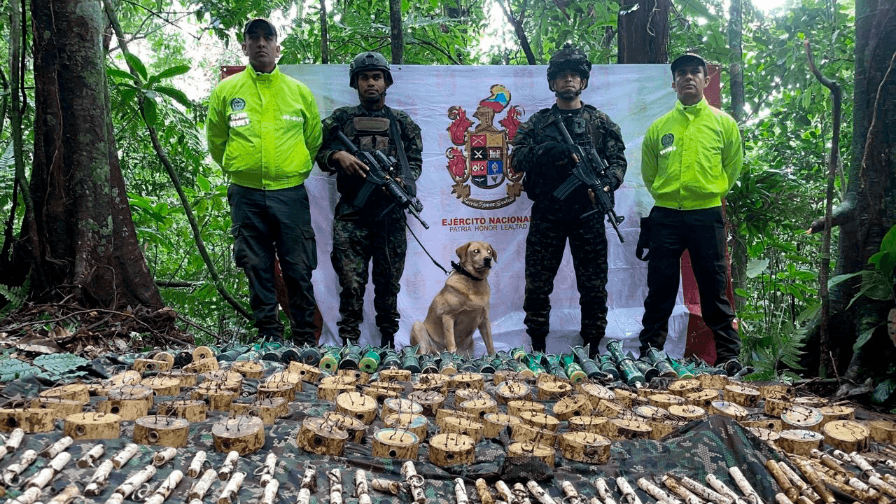 perrito explosivos