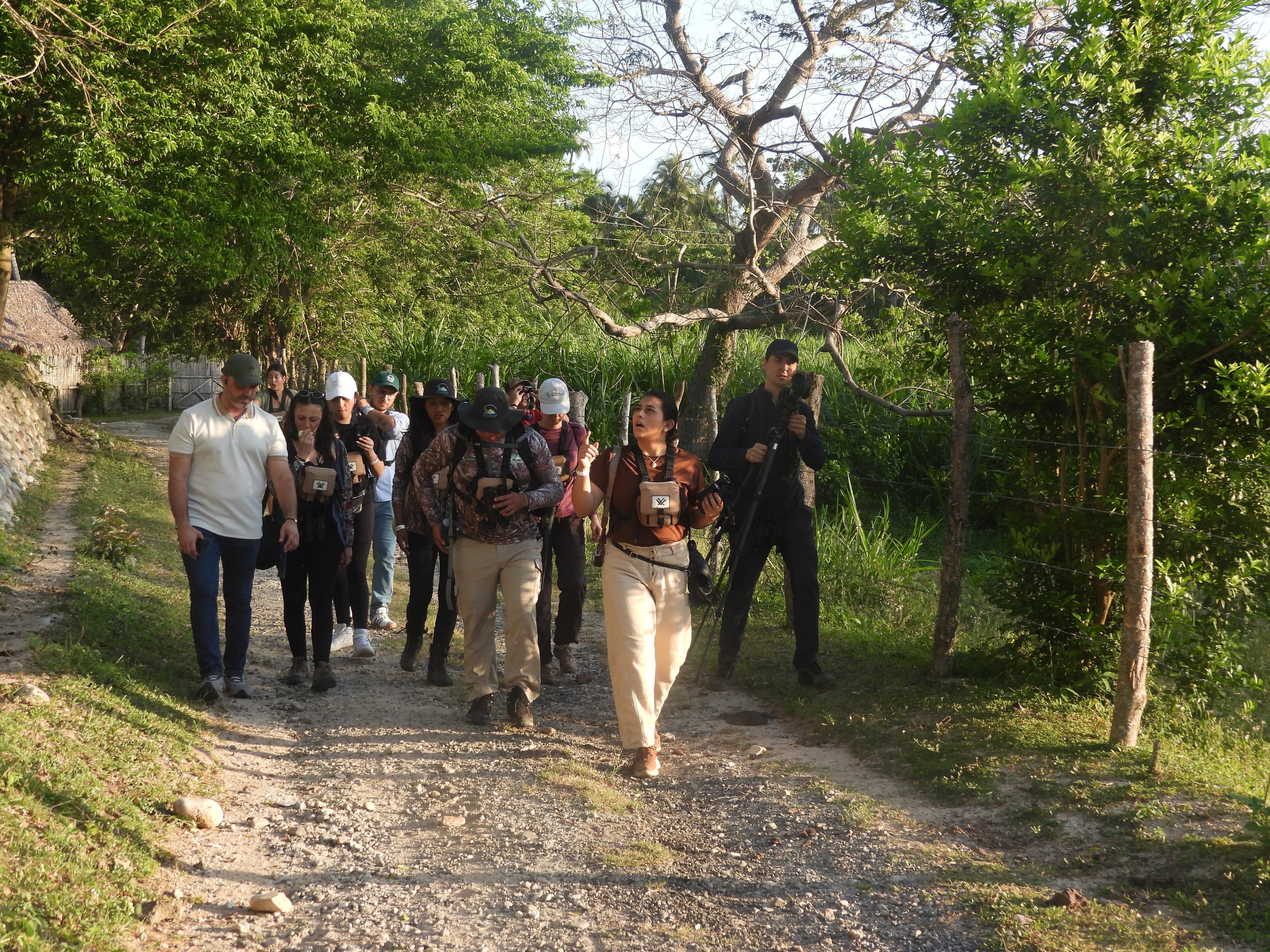 Turismo de observación de aves en Guachaca