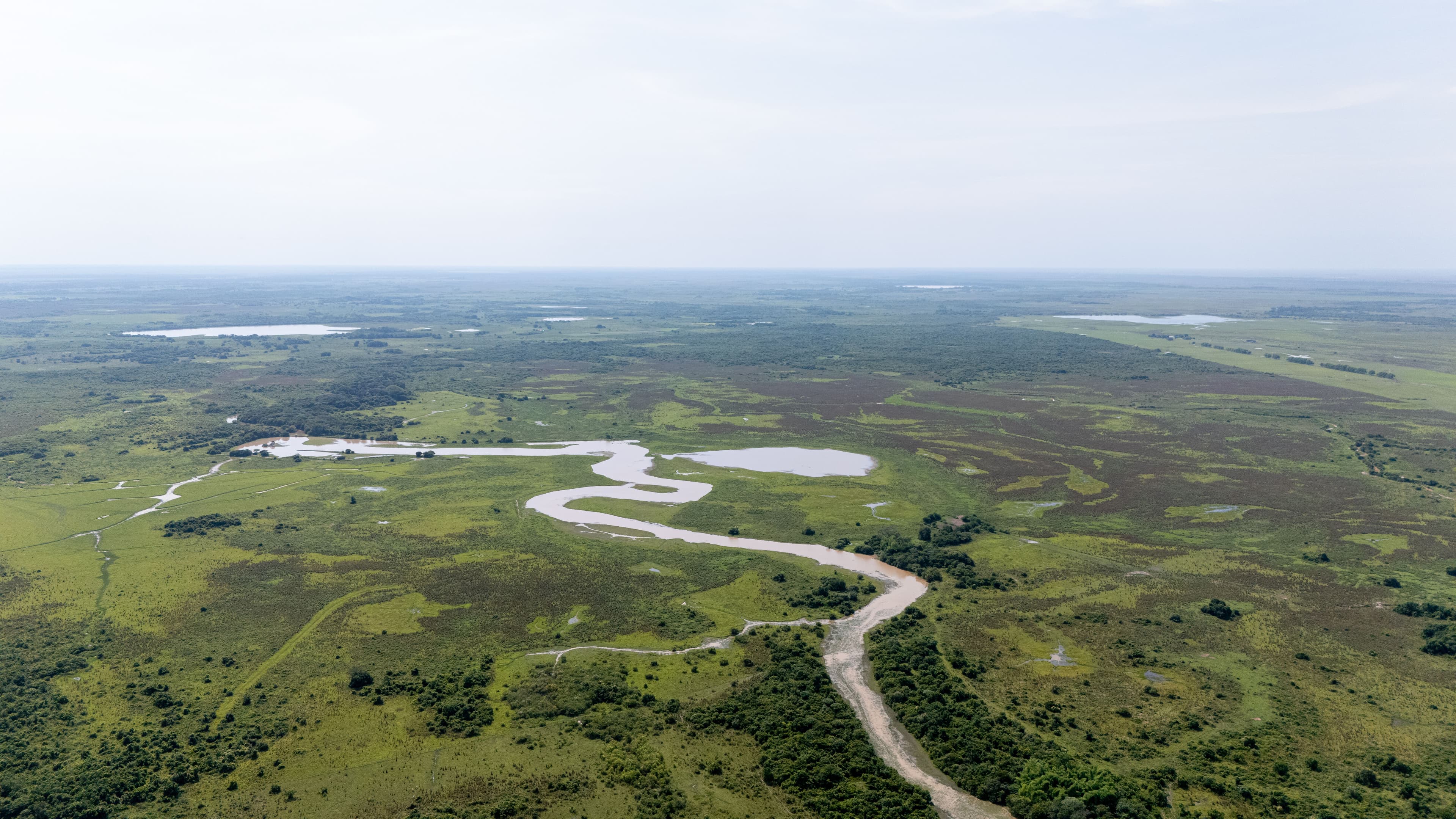 Los llanos de Paz de Ariporo