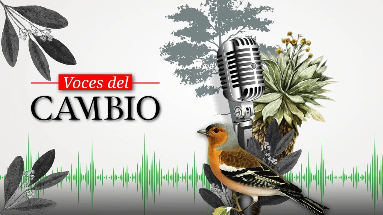 photologuephotos2023-12podcast-cambio-2_2jpg photologuephotos2023-12podcast-cambio-2_2jpg