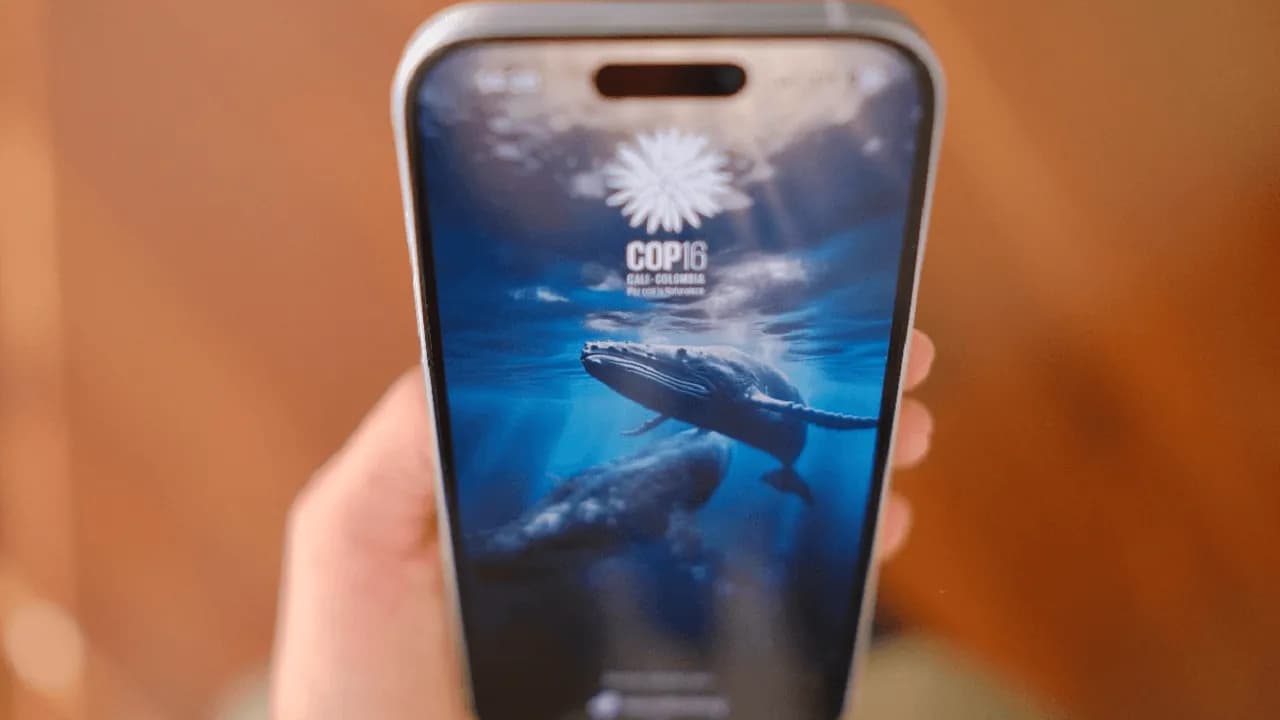 photologuephotos2024-10app_cop16_minticpng photologuephotos2024-10app_cop16_minticpng