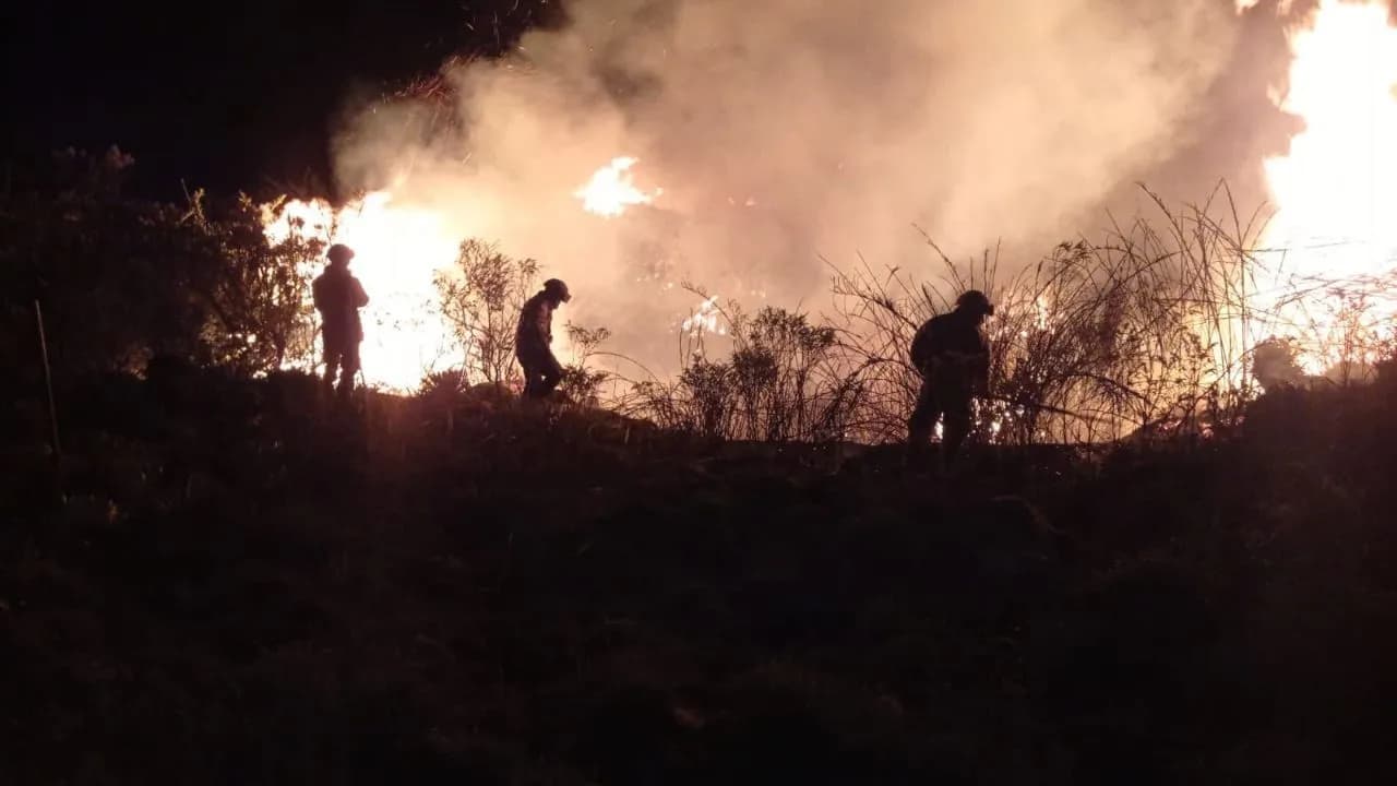 photologuephotos2025-01grave_incendio_forestal_en_el_parque_nacional_natural_chingazajpg photologuephotos2025-01grave_incendio_forestal_en_el_parque_nacional_natural_chingazajpg