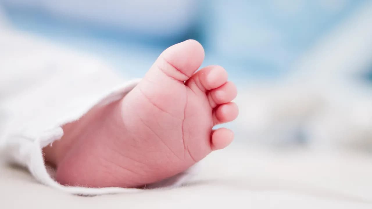 photologuephotos2025-07disparo-de-enfoque-superficial-del-dedo-del-pie-de-un-bebe-recien-nacidojpg photologuephotos2025-07disparo-de-enfoque-superficial-del-dedo-del-pie-de-un-bebe-recien-nacidojpg
