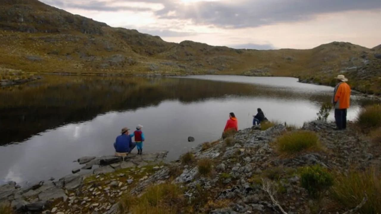 photologuephotos2025-07tribunal_de_santander_reconocio_al_paramo_de_santurban_como_sujeto_de_derechos_por_que_es_clave_para_su_proteccionjpg photologuephotos2025-07tribunal_de_santander_reconocio_al_paramo_de_santurban_como_sujeto_de_derechos_por_que_es_clave_para_su_proteccionjpg