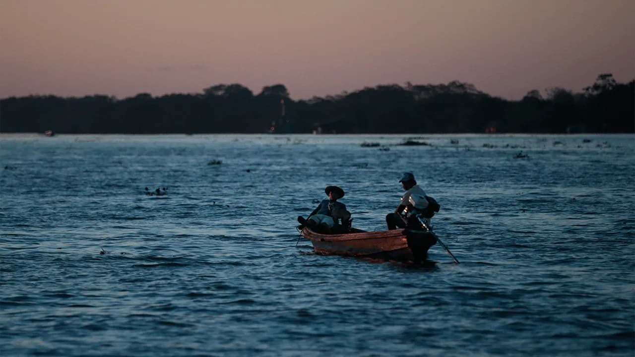 photologuephotos2025-08amazonas-1png photologuephotos2025-08amazonas-1png