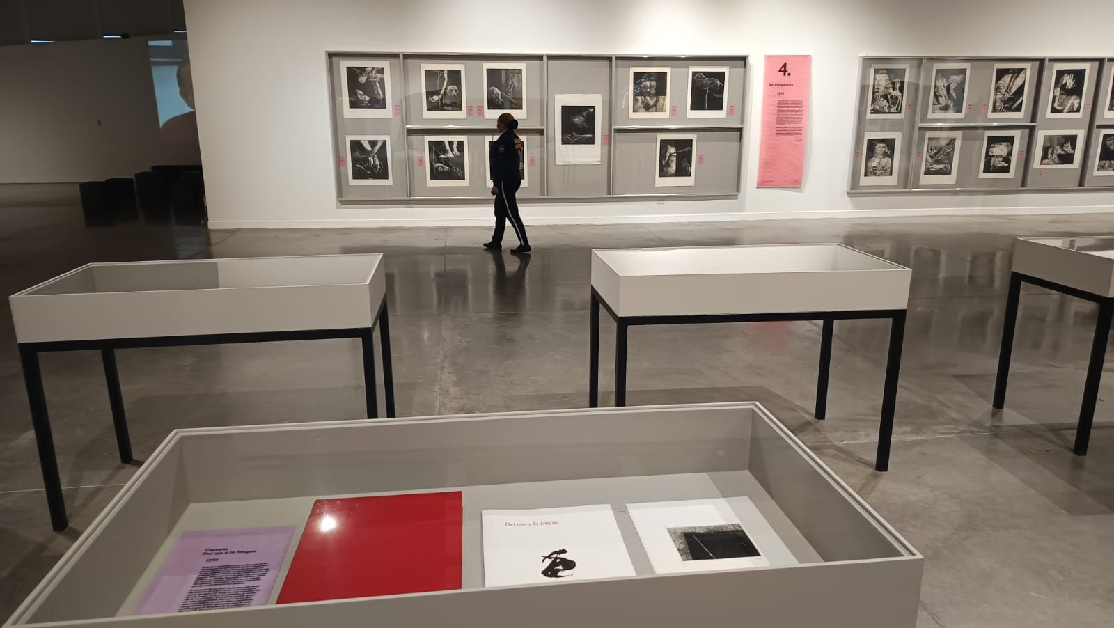 Exposición de Roda en la Universidad de los Andes