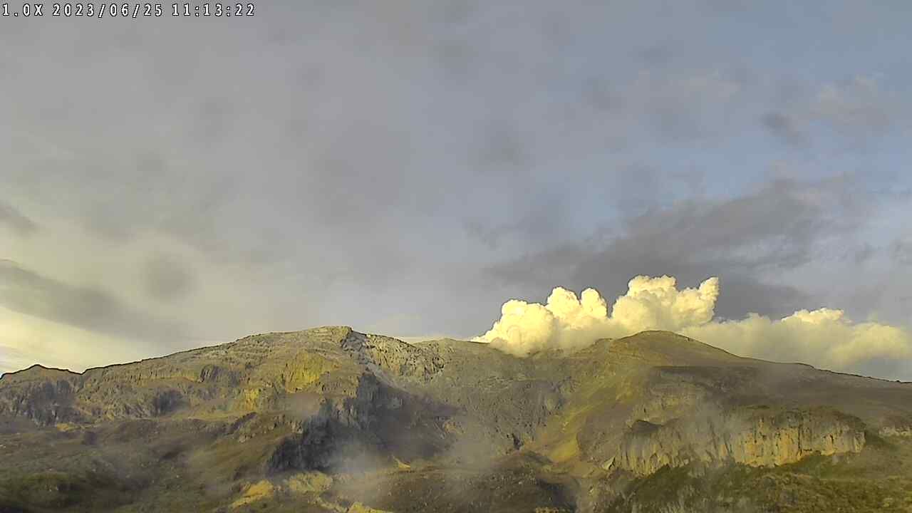 pirana-azufrado_2023-06-25-11-13.jpg
