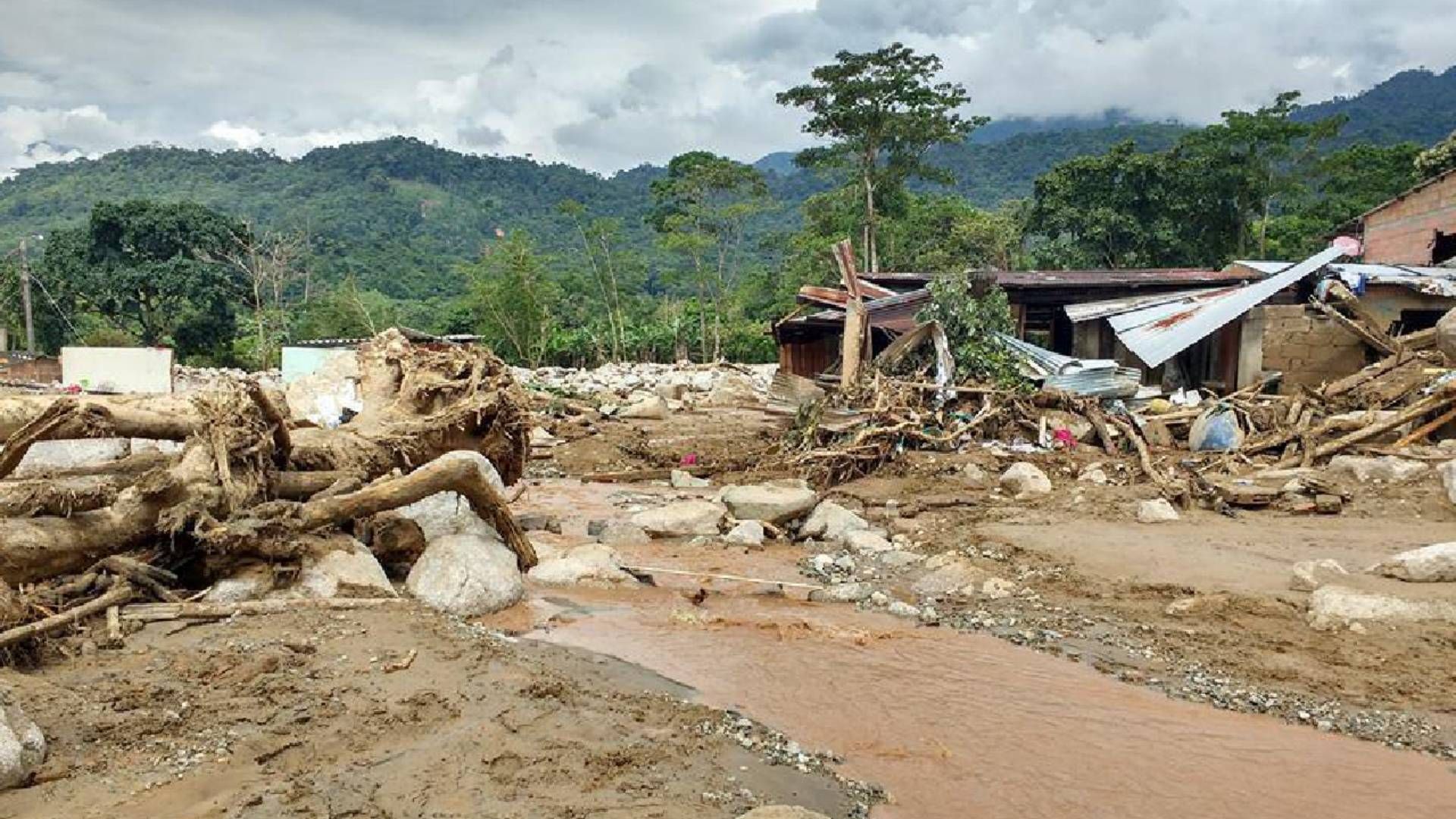 proyecto_nuevo_33.jpg