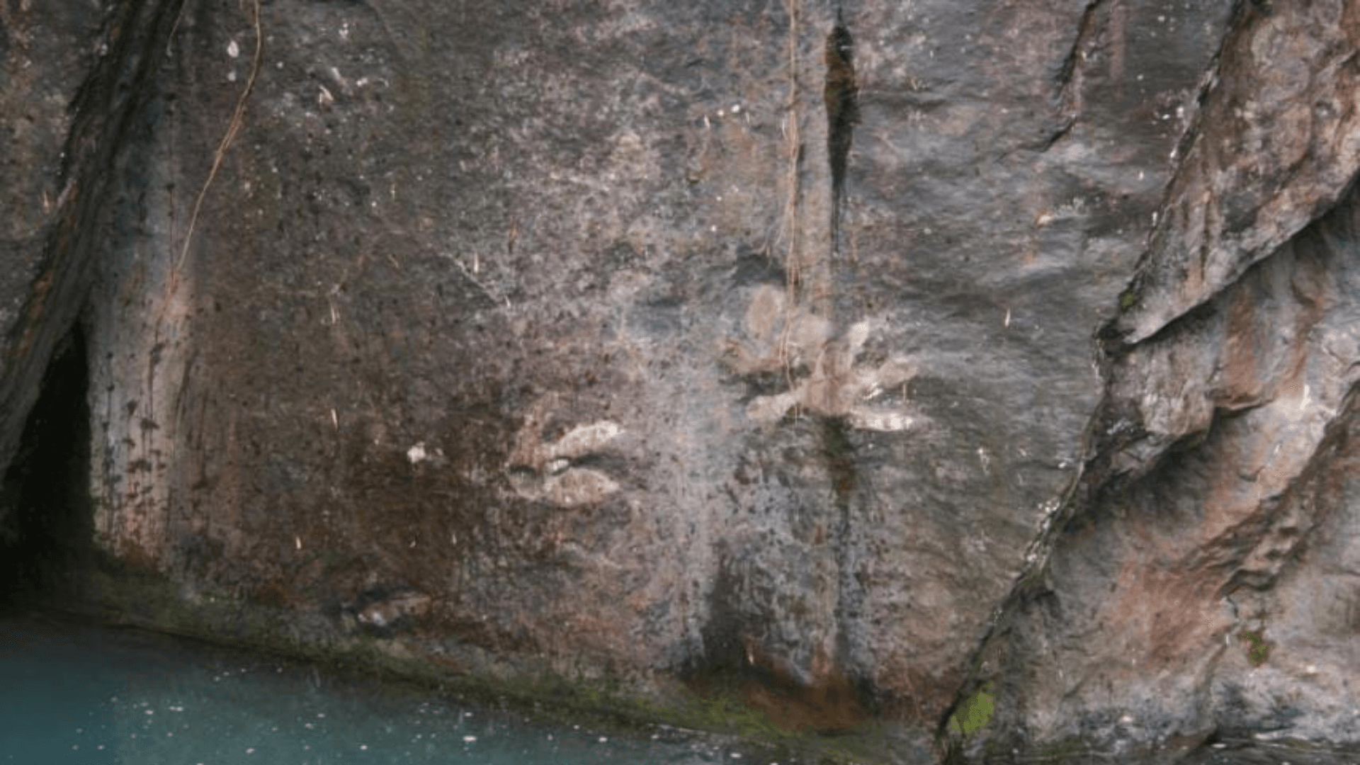 lea_tambien_caiman_0.png