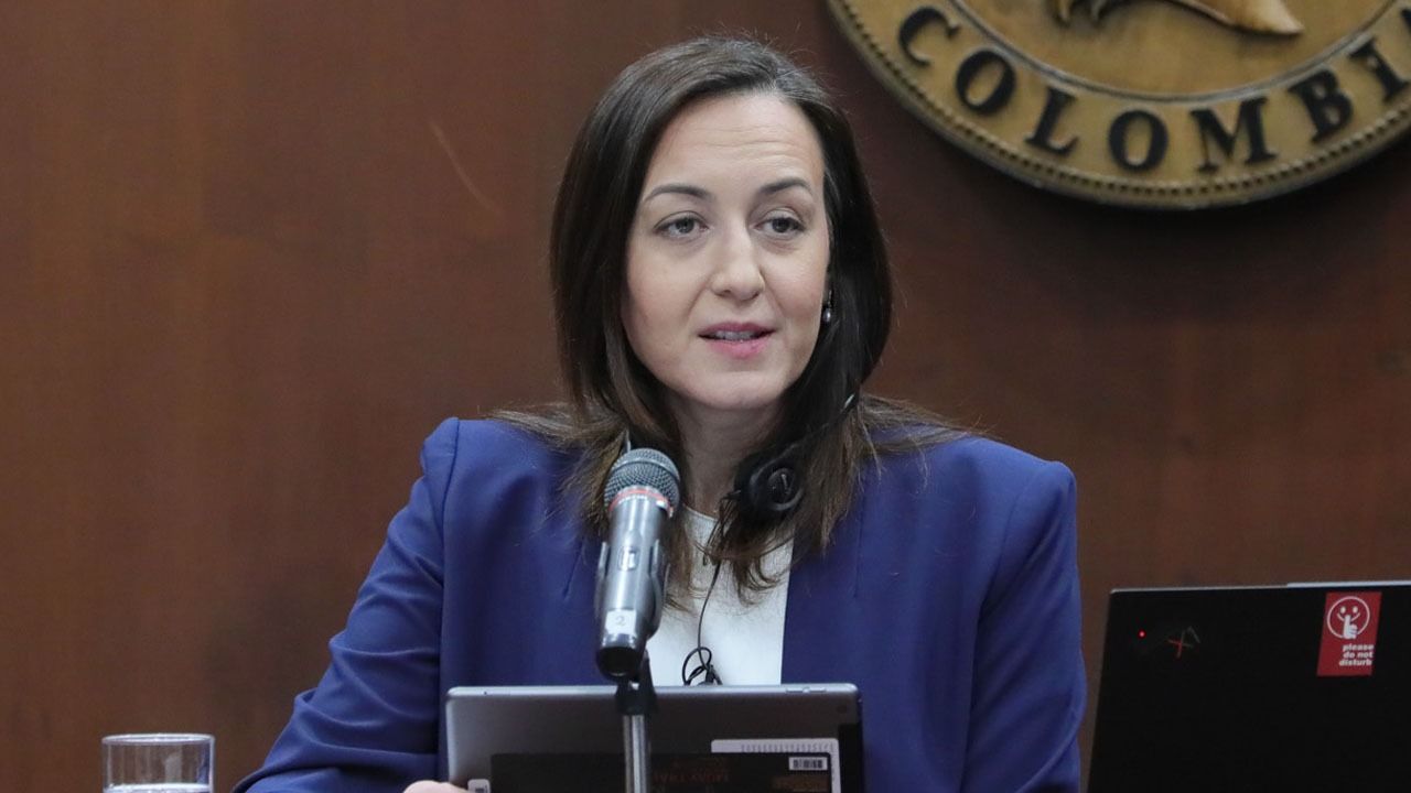 ceyda_oner_directora_de_la_mision_del_fmi_en_colombia.jpeg