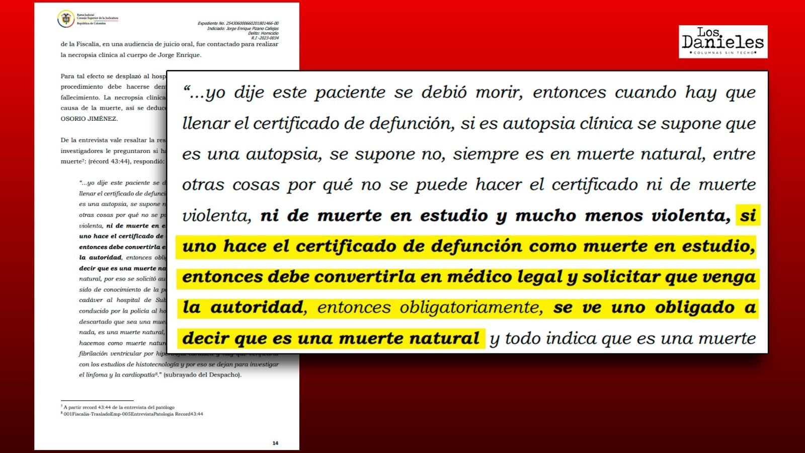 whatsapp_image_2024-03-09_at_18.16.48_0.jpeg