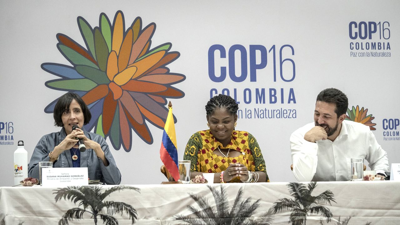 comite-directivo-cop16-3_0.jpg