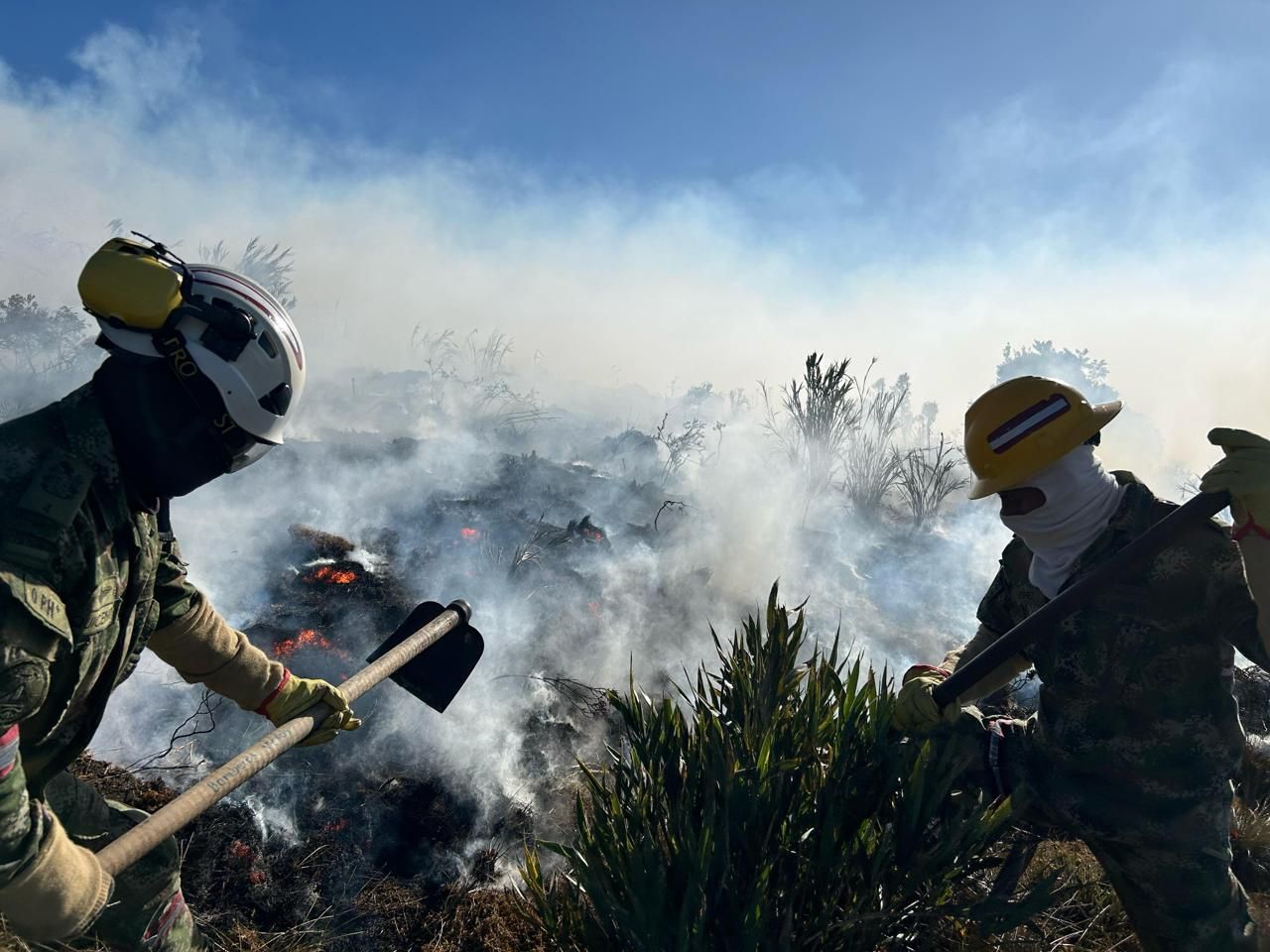 incendio_frailejones.jpg