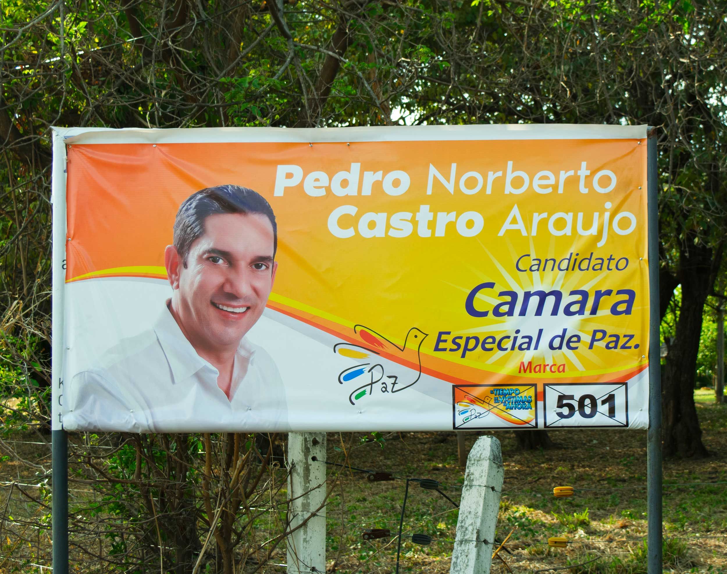 pedro_castro_araujo.jpg