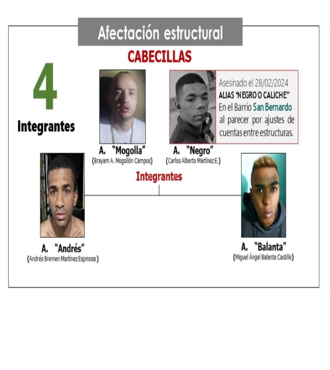 cartel_0.jpg