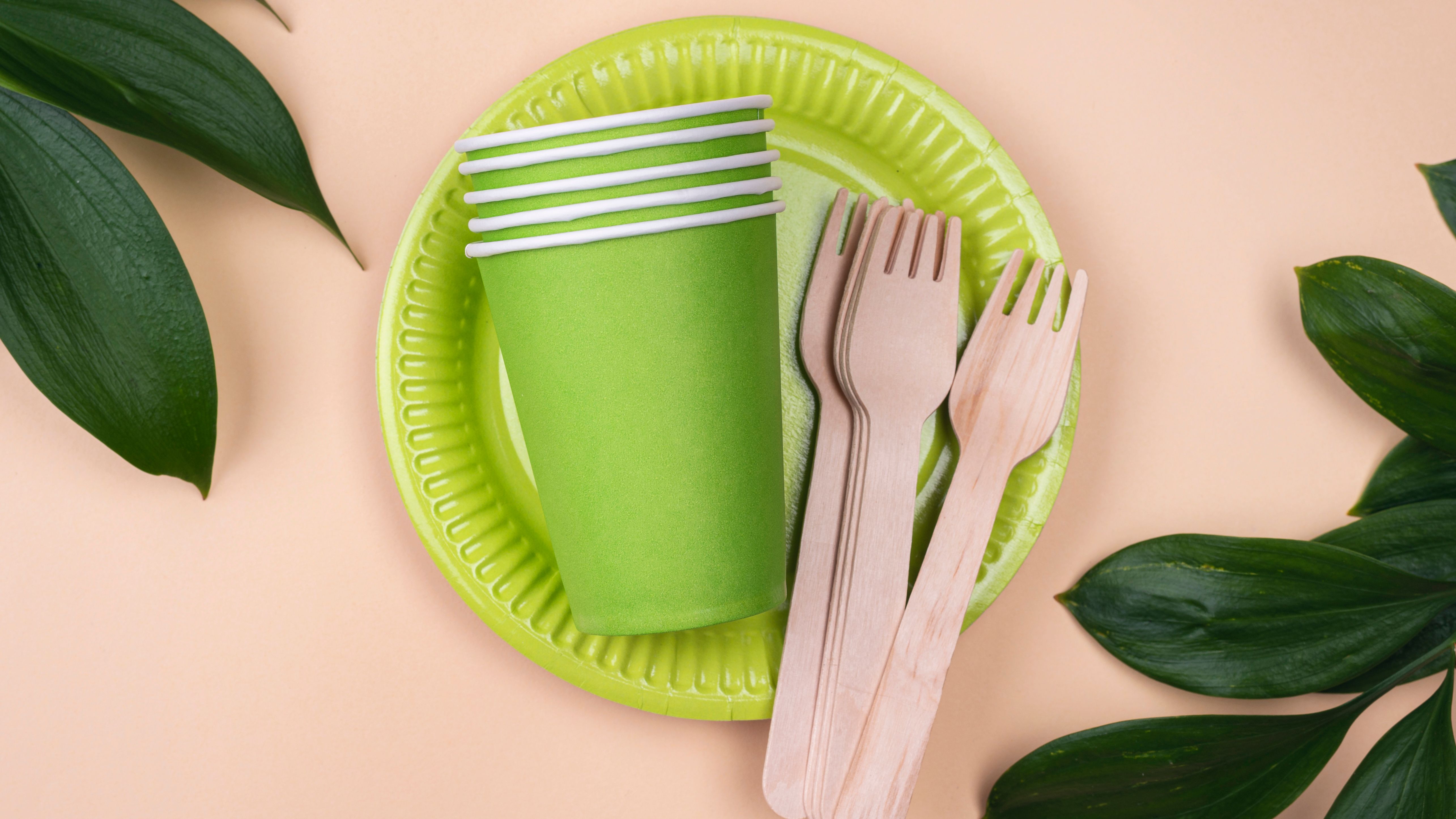 eco-friendly-disposable-tableware-green-cups.jpg