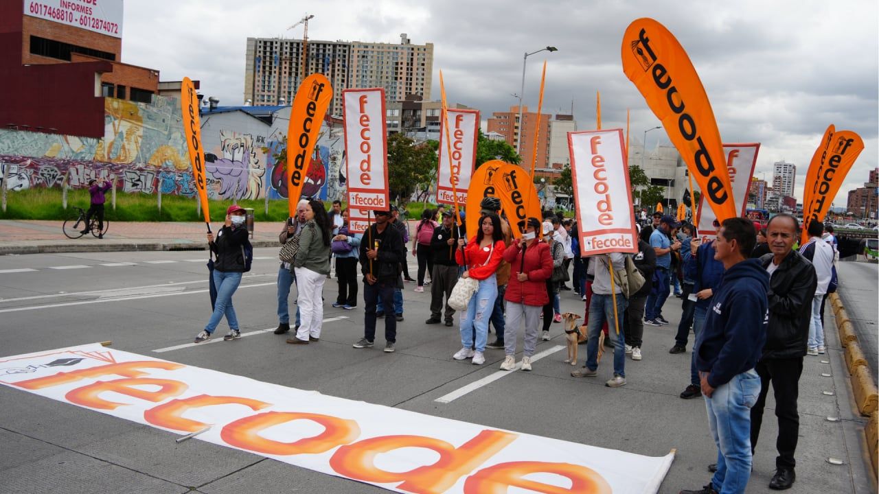 paro-maestros-ley-estatutaria-educacion.jpg