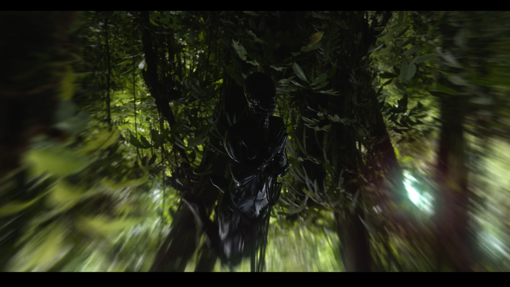 eo_still14.jpg