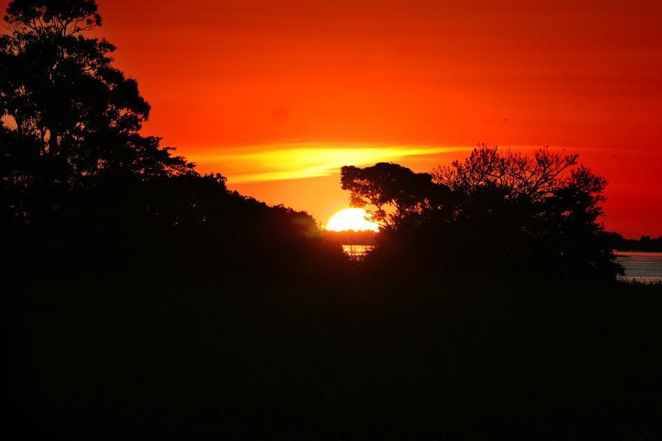 amazonia.jpg