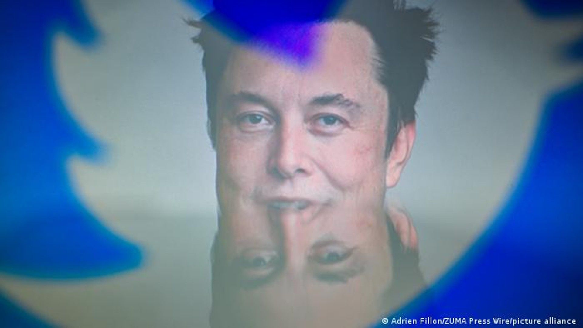 musk.jpg