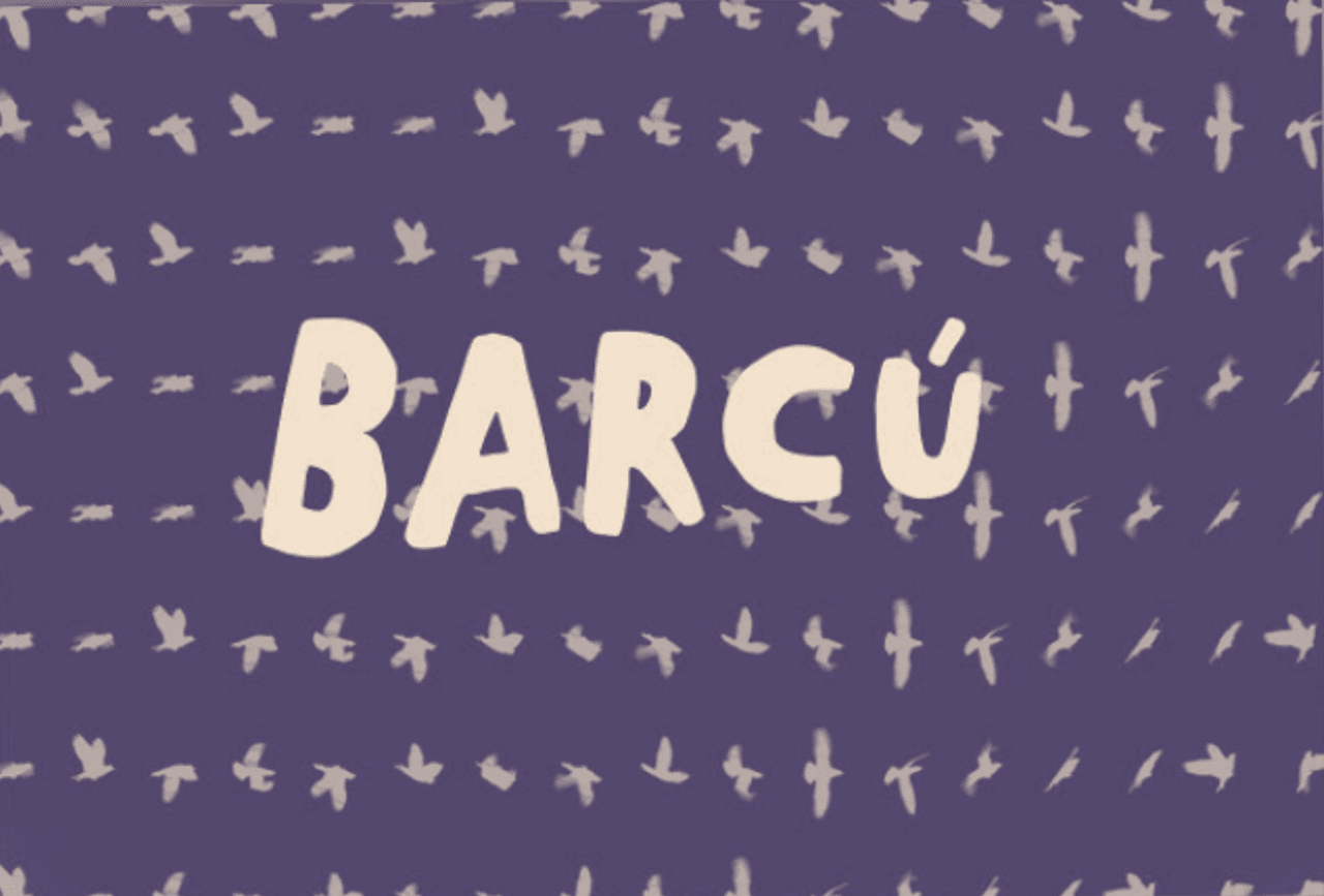 barcu_1.png