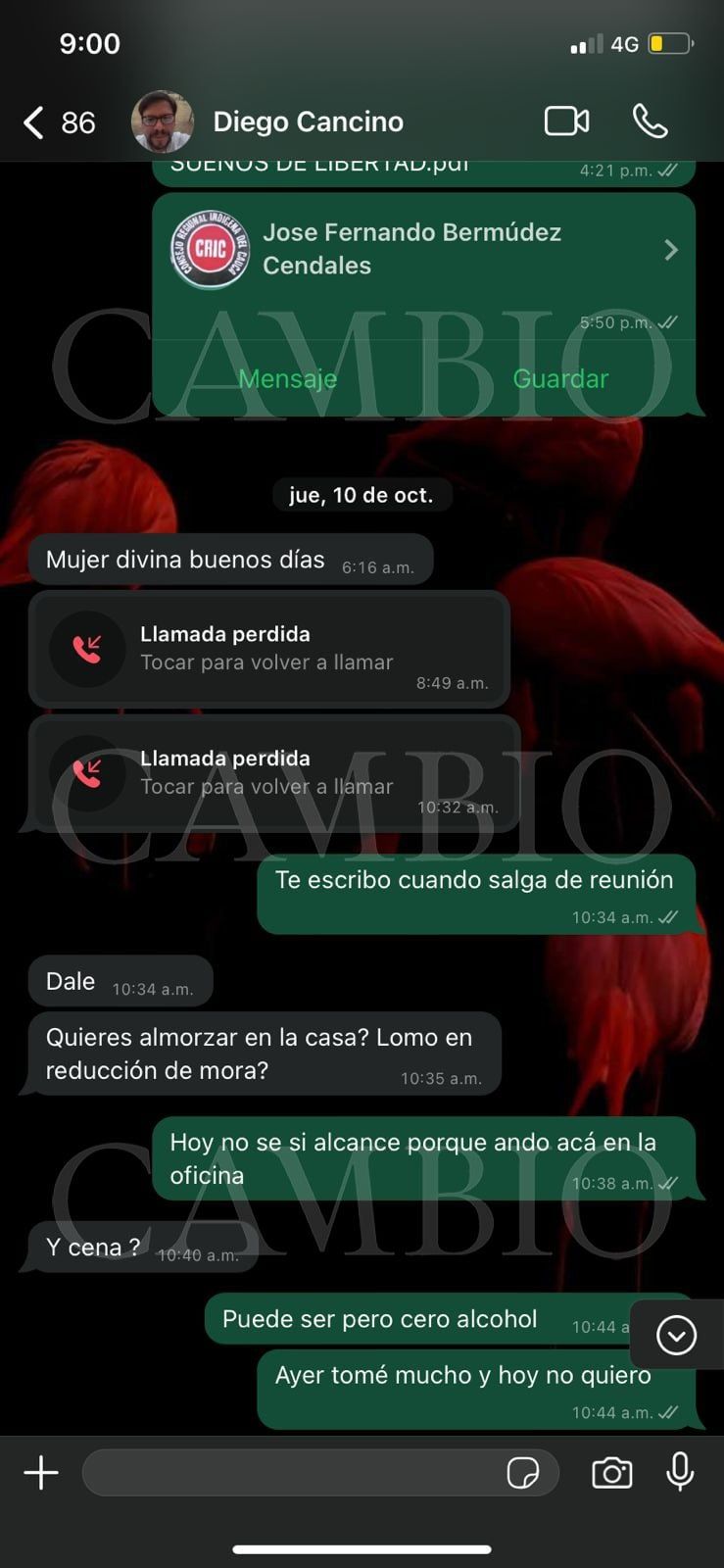 whatsapp_image_2024-10-25_at_10.40.21.jpeg