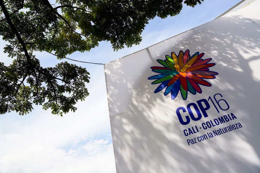 colp_313464.jpg