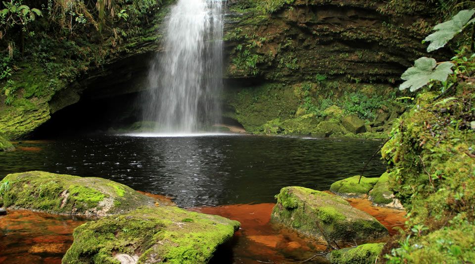 pnn_cueva_de_los_guacharos_lindosa_david_paez_archivoparques_3.jpg