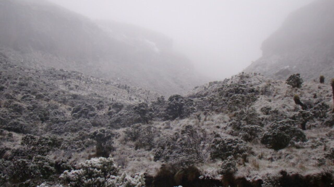 los_nevado.jpg