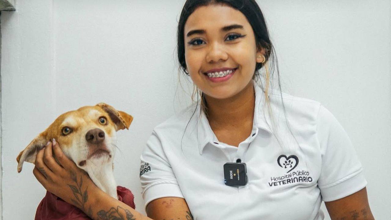atencion_de_animales.jpg