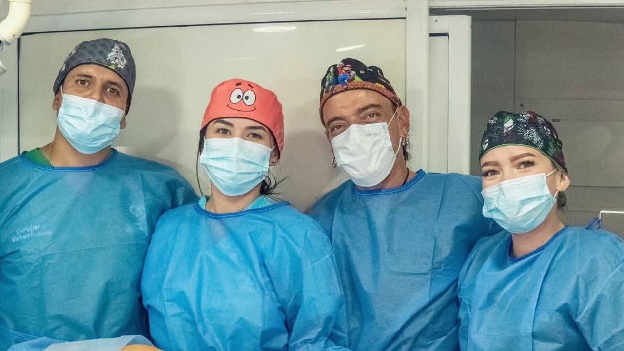 hospital_veterinario.jpg