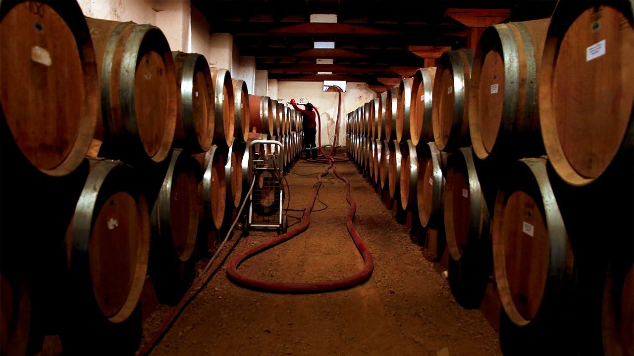 vinos_1.jpeg
