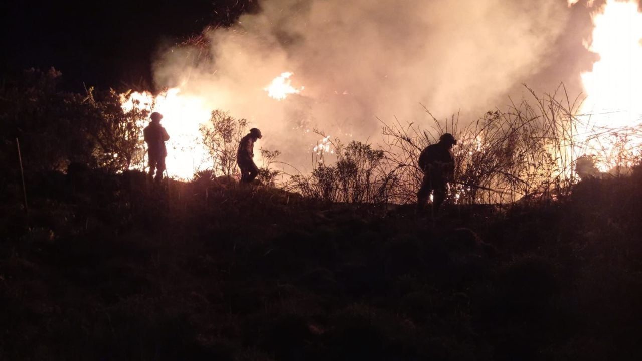 photologuephotos2025-01grave_incendio_forestal_en_el_parque_nacional_natural_chingazajpg