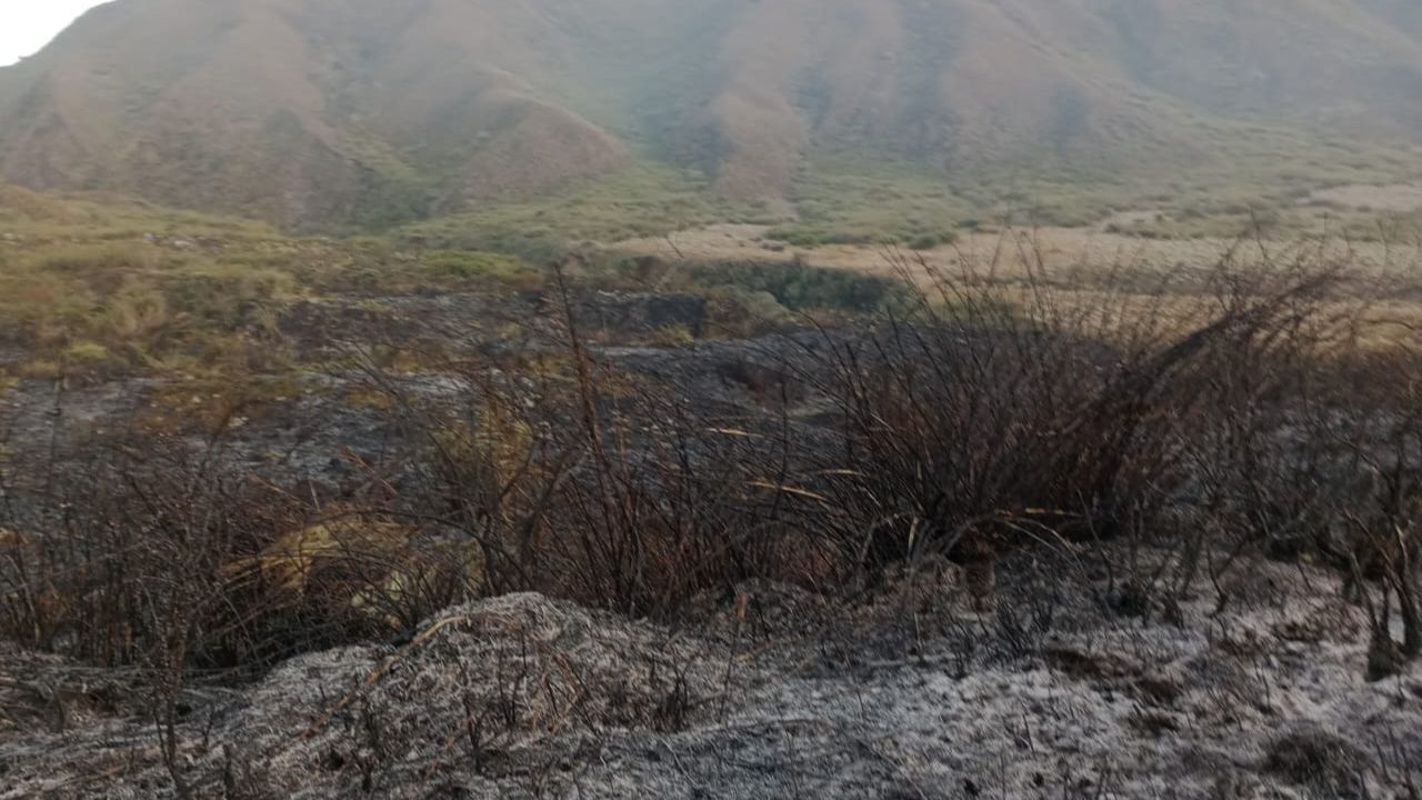 conflagracion_incendio.jpg