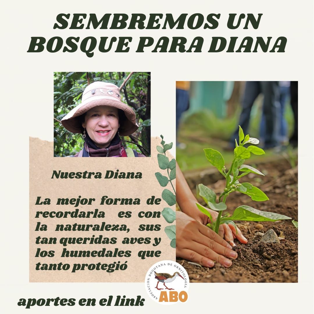 afiche_bosque_0.jpeg