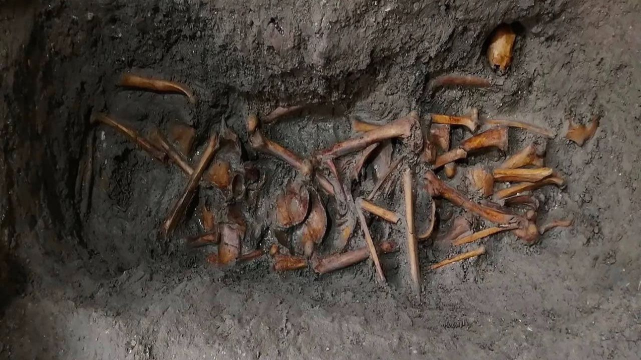 estrcuturas_oseas_en_convento_de_cartagena.jpg