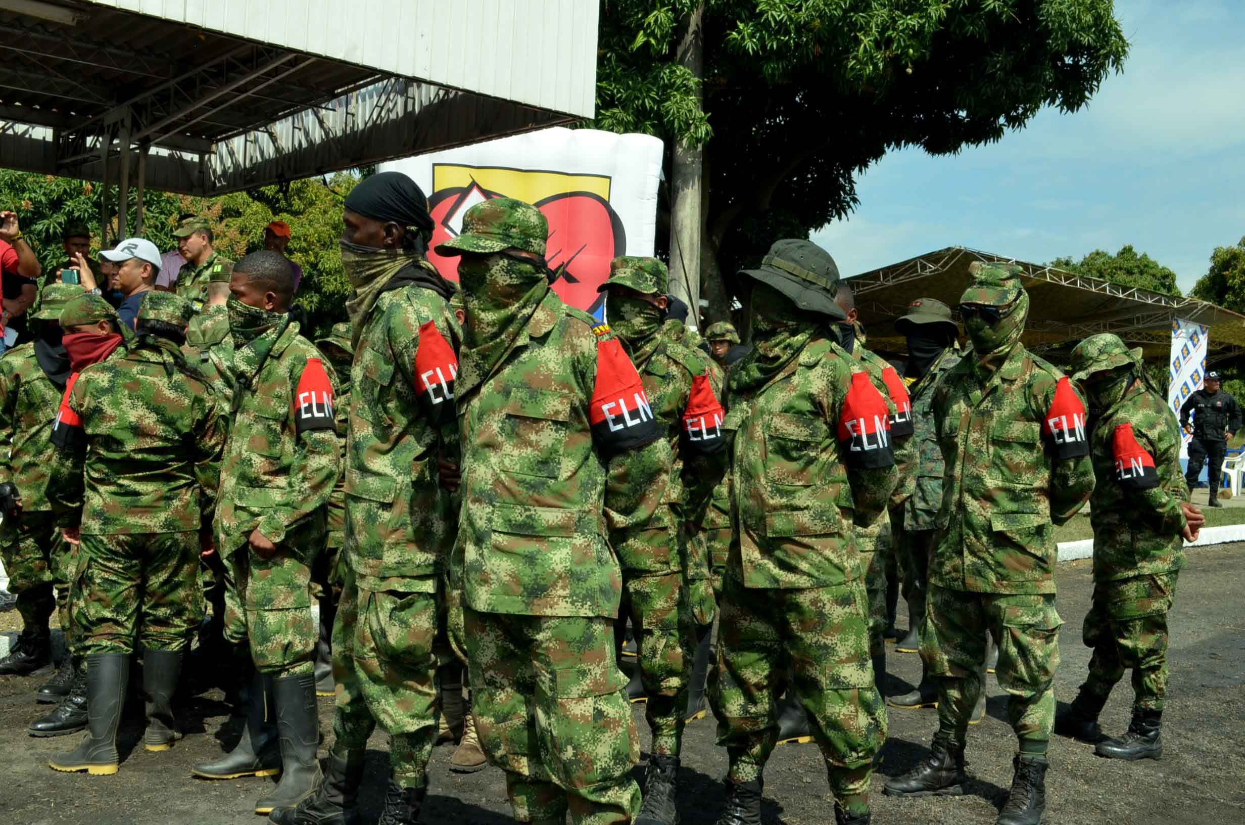 guerrilla_eln_0.jpg