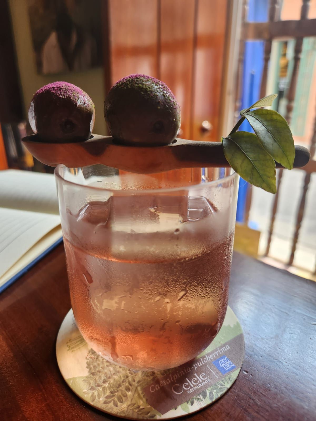 coctel_de_ciruela_que_no_es_aceituna.jpeg