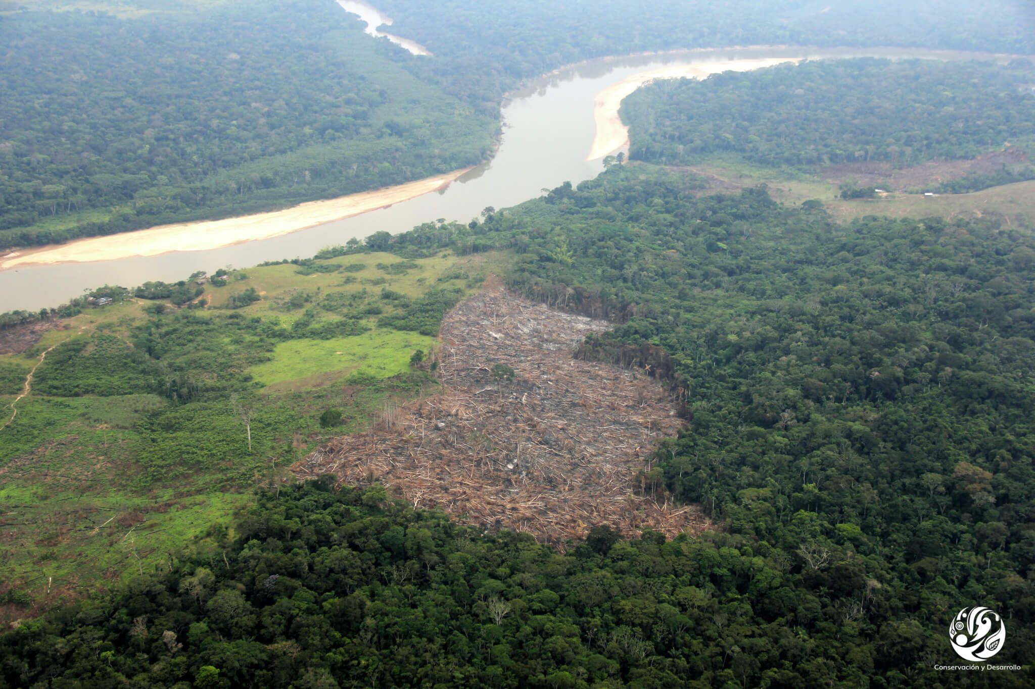 deforestacion_fcds.jpg