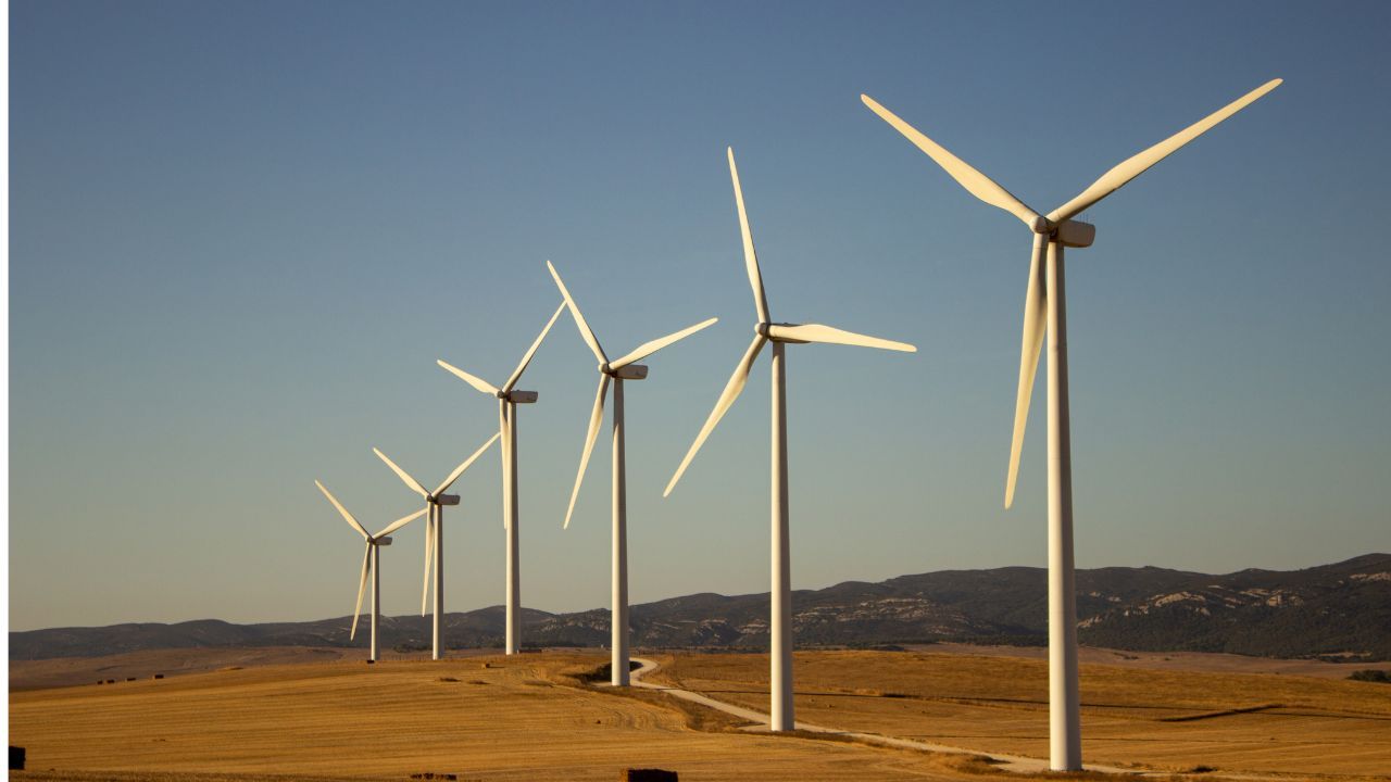parque_eolico_freepik.jpg